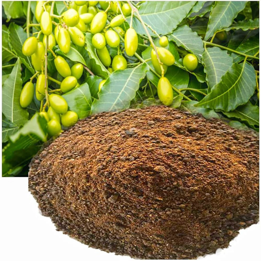 Veppam Punnakku