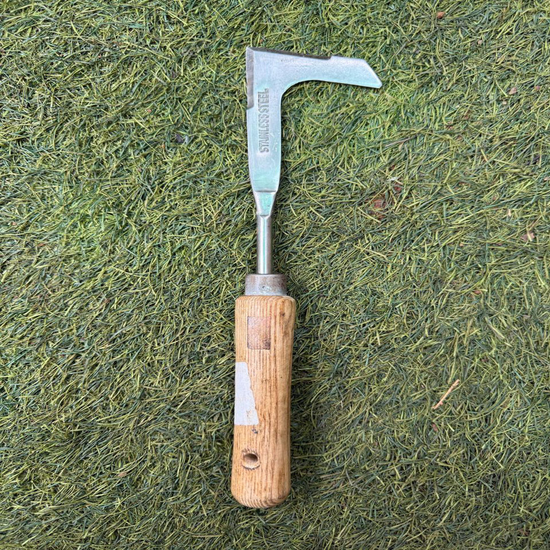 Additional Image