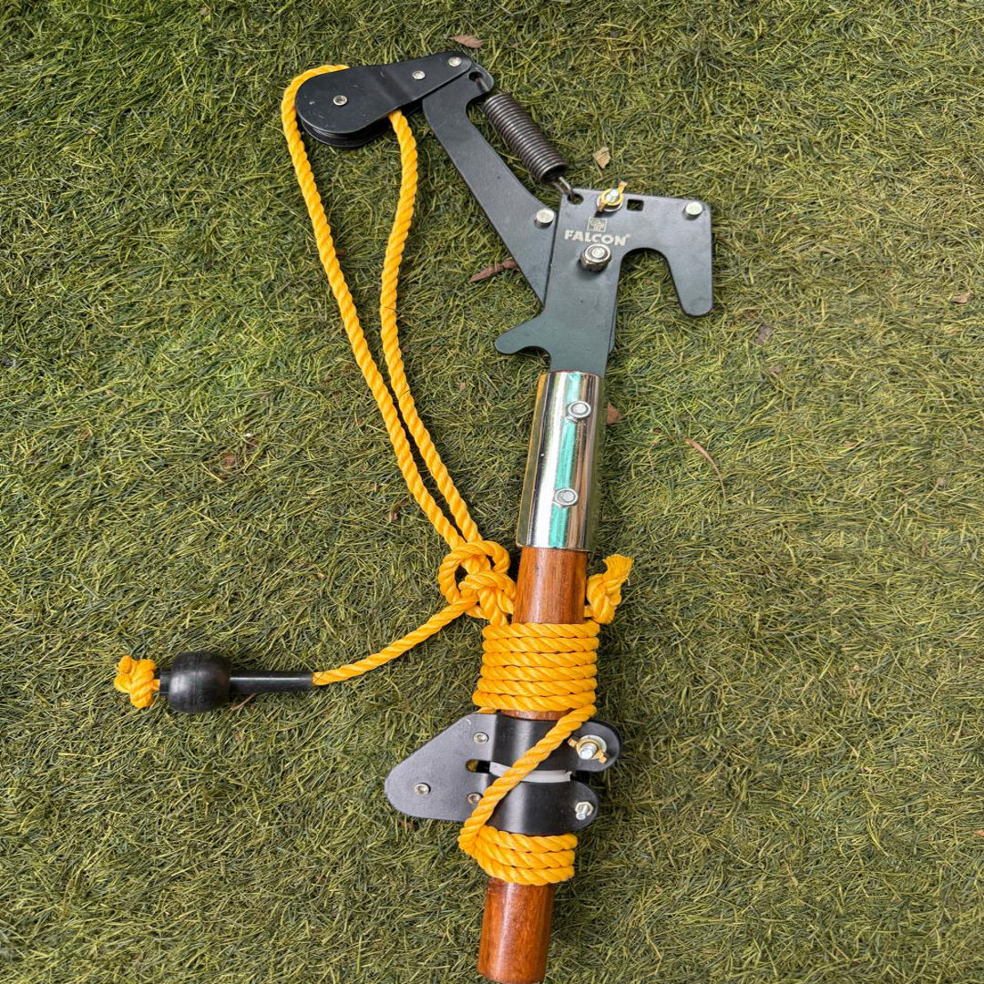 Tree Pruner