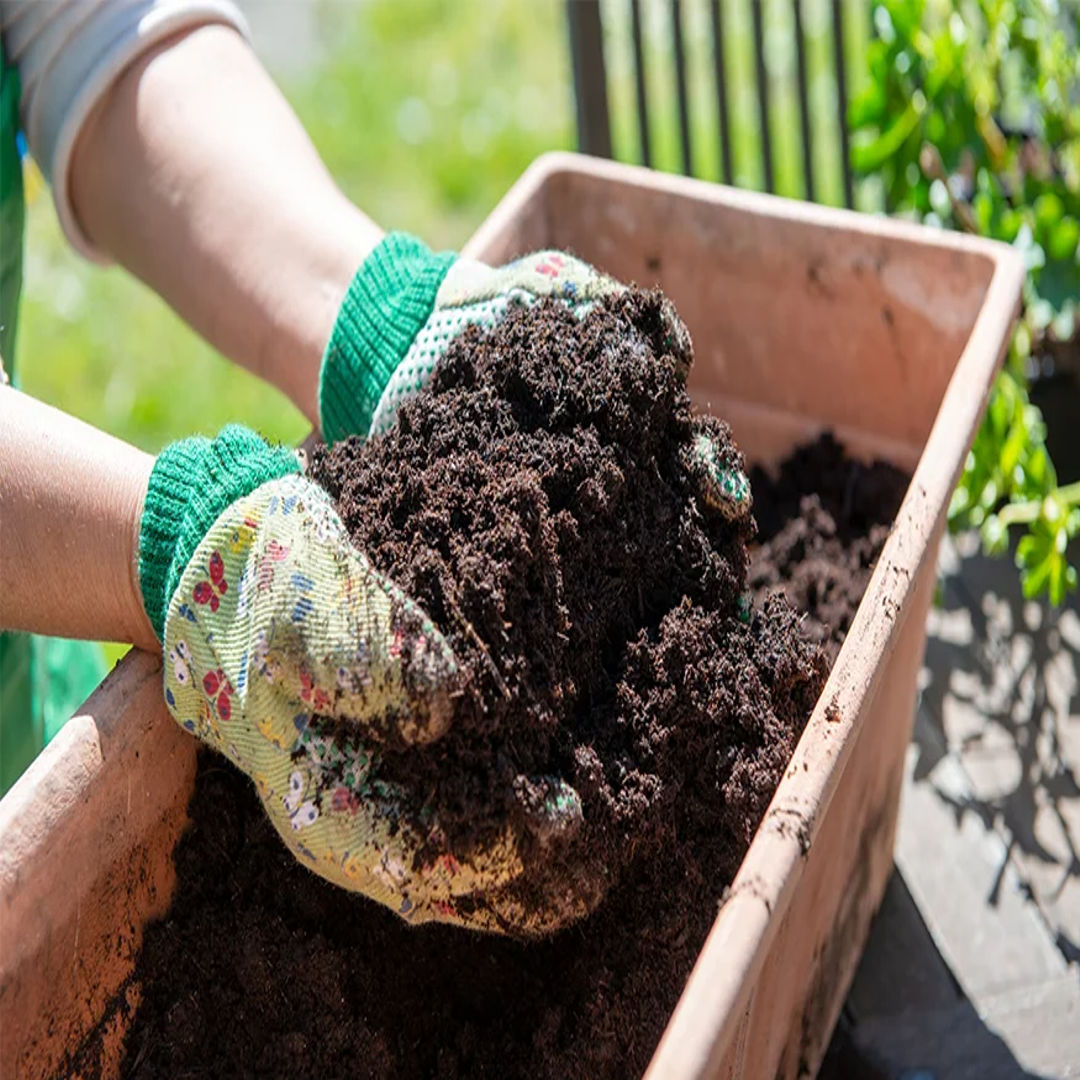 Potting Mix