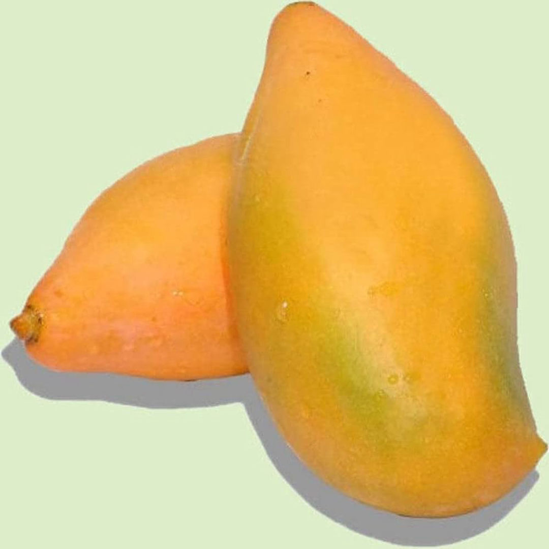 Bengalura Mango