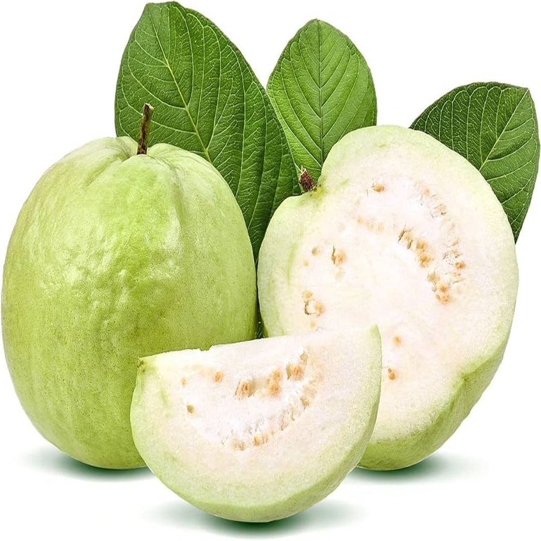 Taiwan White Guava