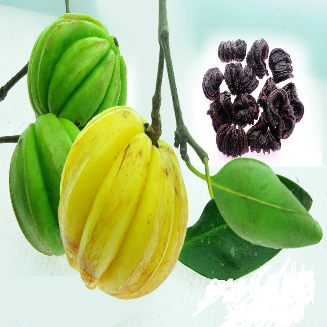 Kudampuli Fruit