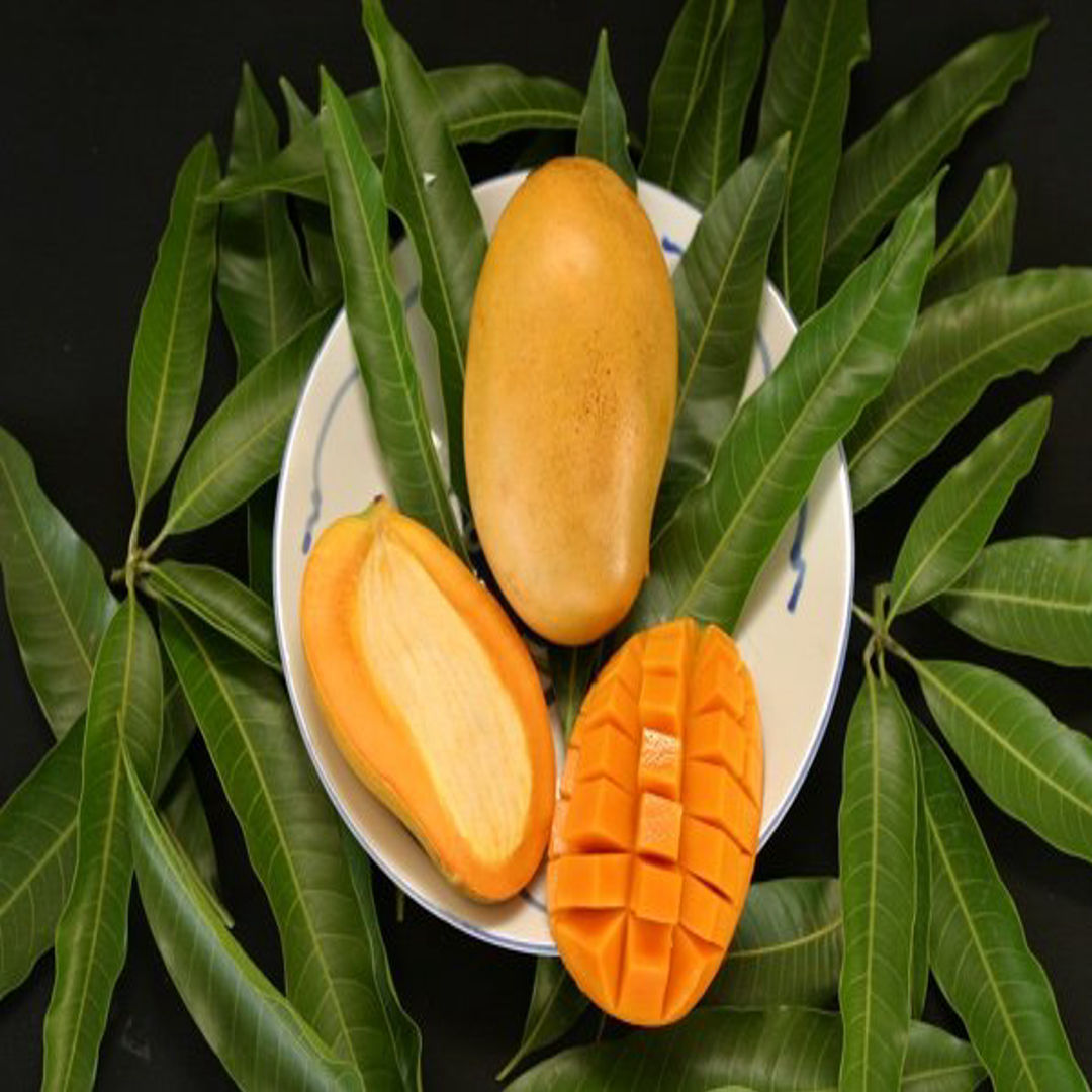 Mango Mallika