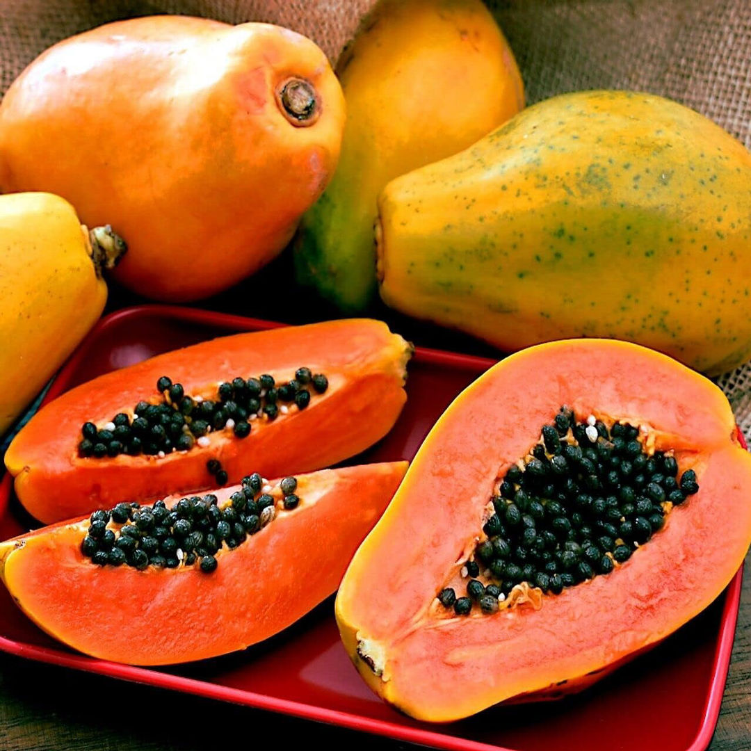 Papaya Red Lady