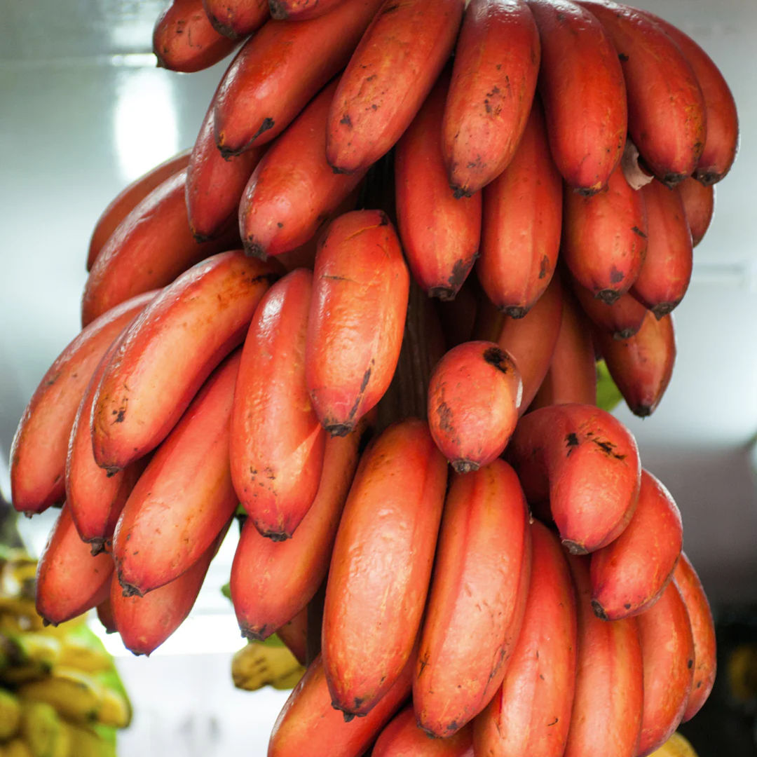 Red Banana