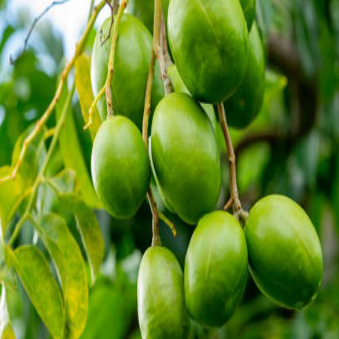 Thai Amra