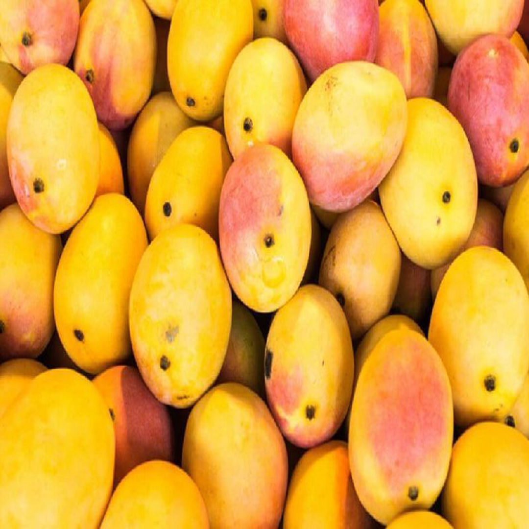 Panchavarnam Mango
