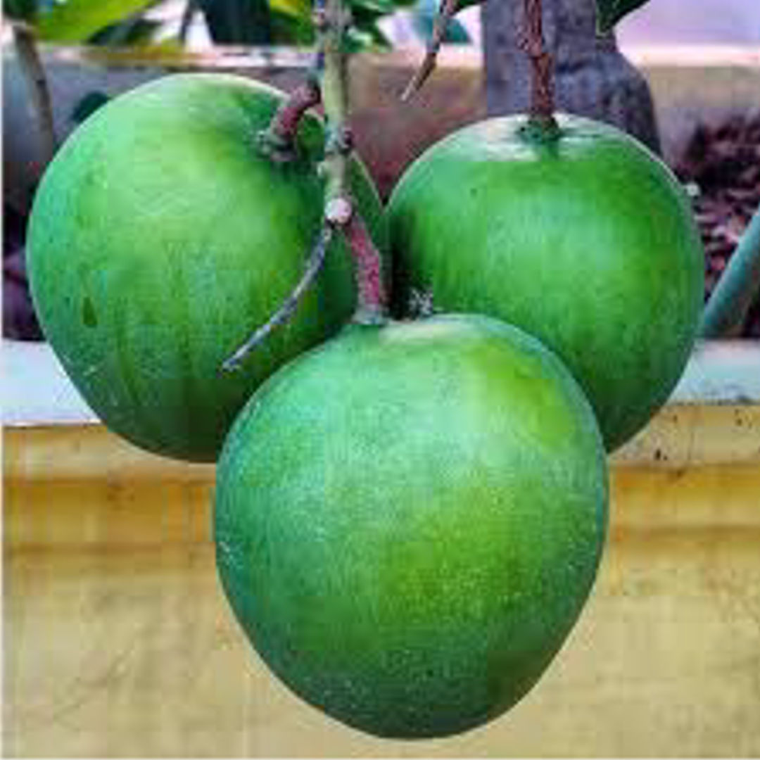 Punasa Mango