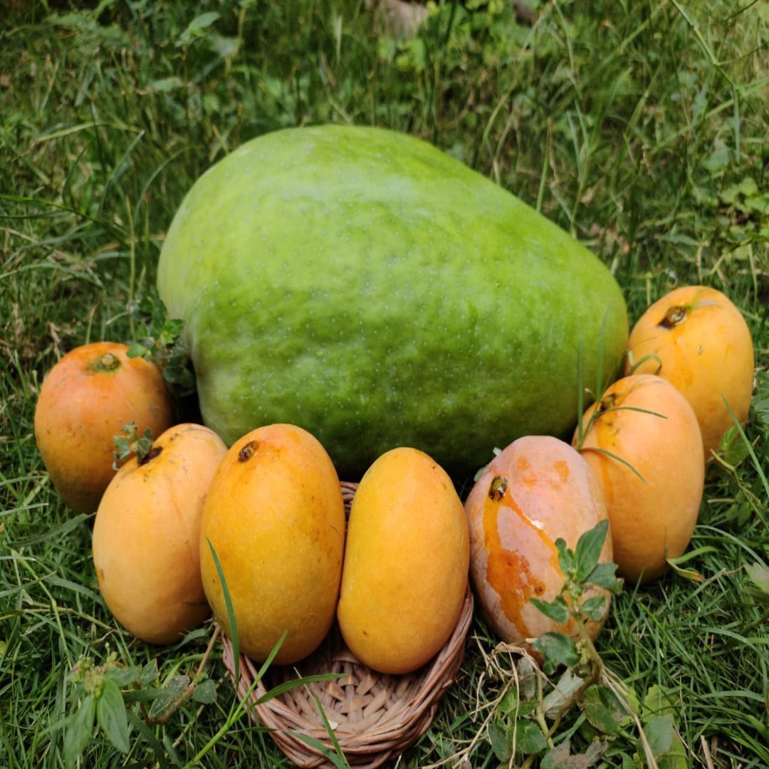 Additional Image