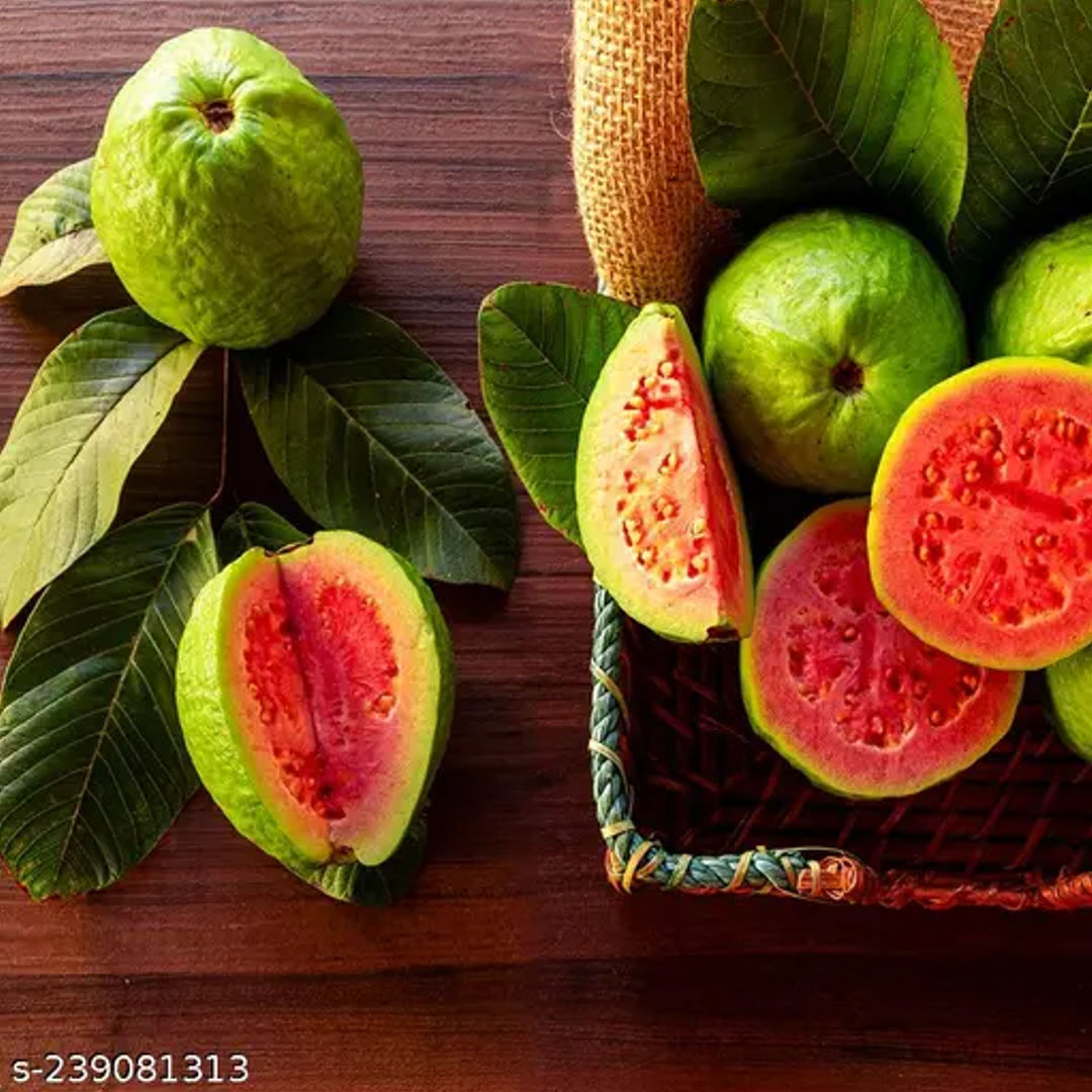 Taiwan Red Guava