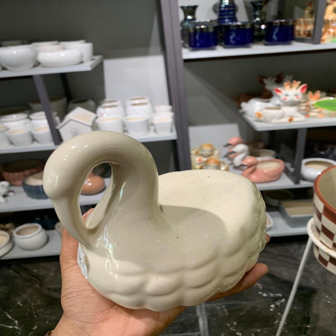 Swan