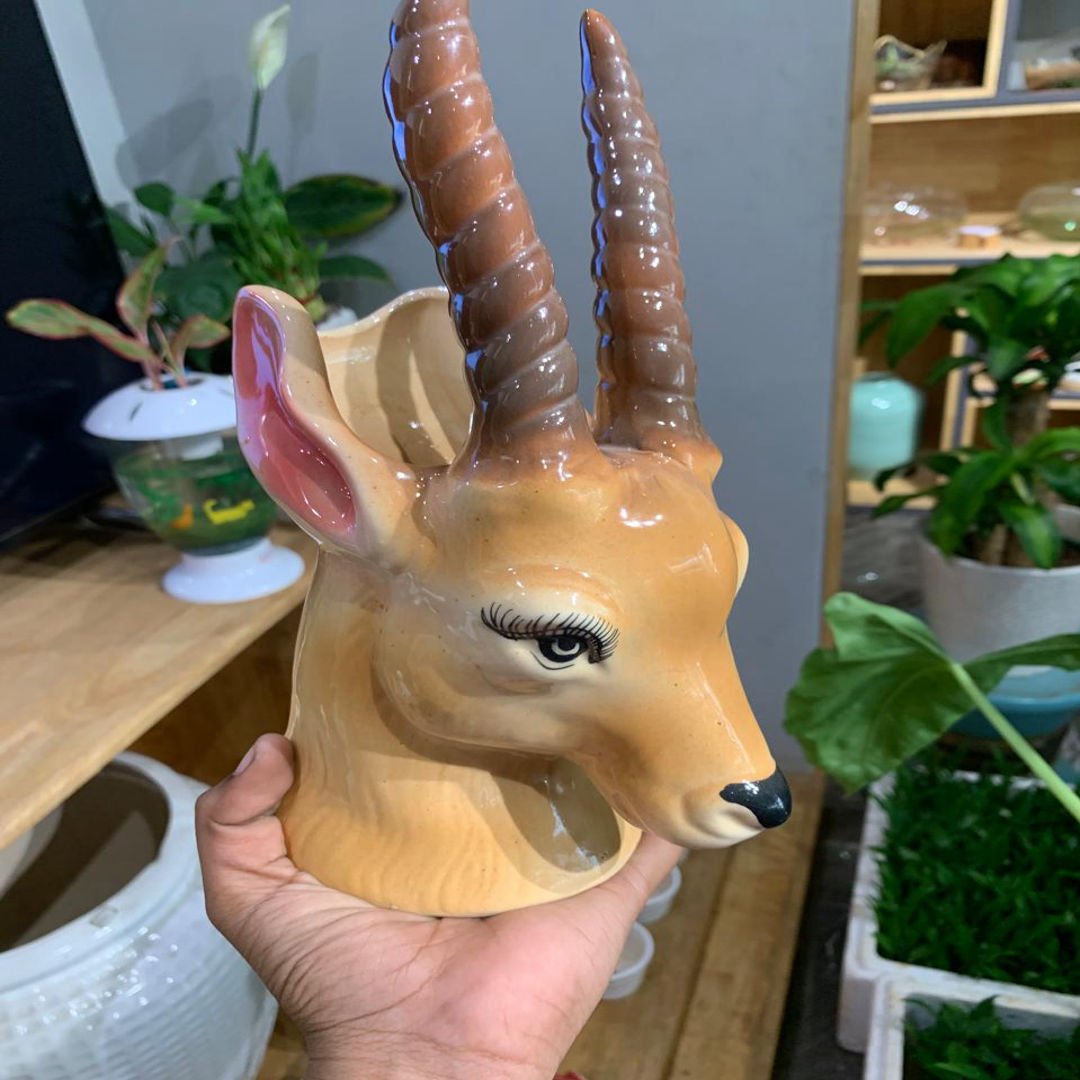 Deer Head