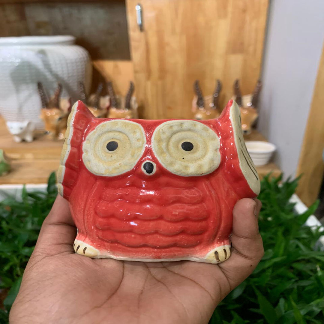Owl