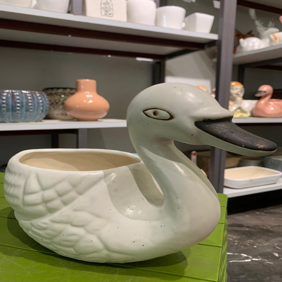 Duck Type