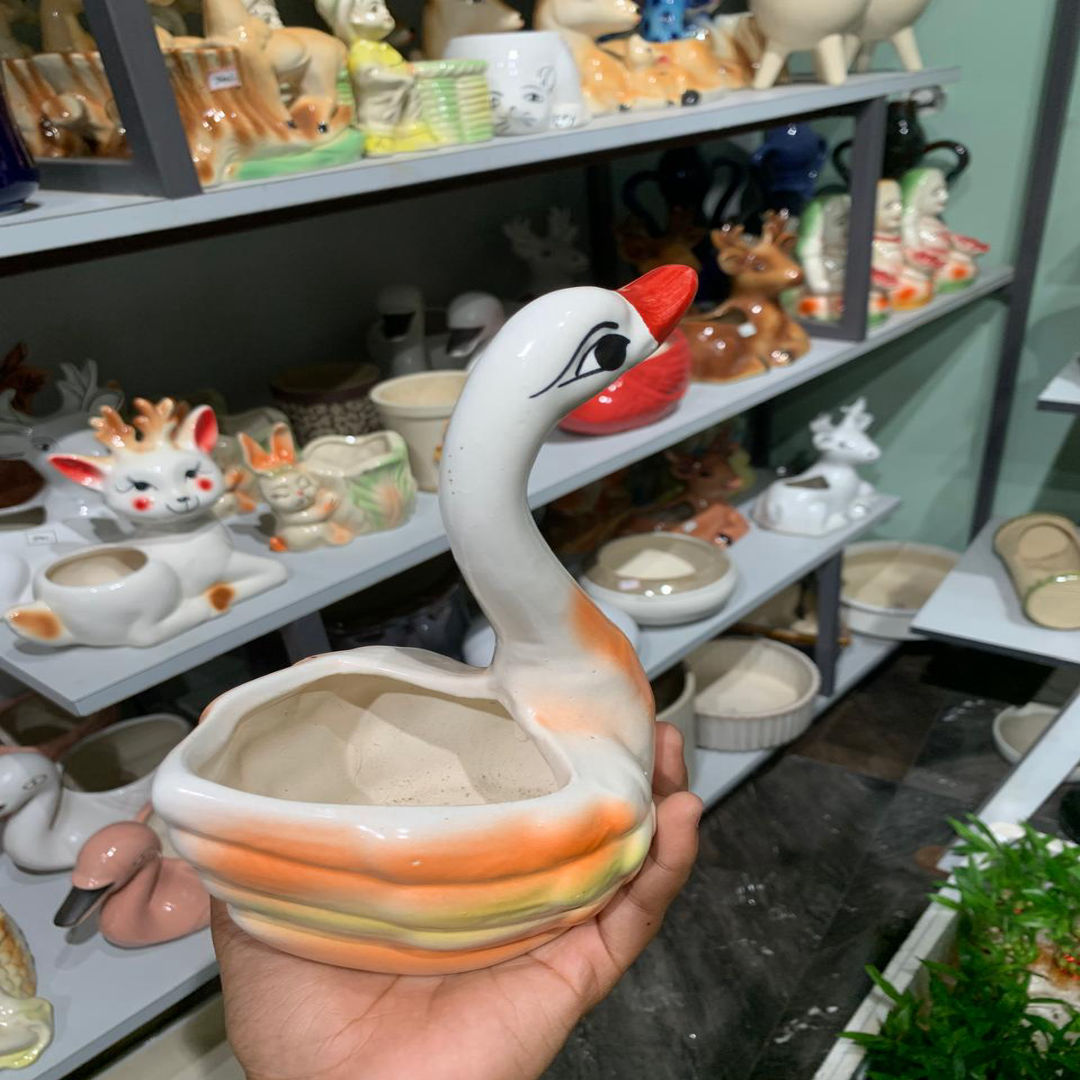 Duck Type