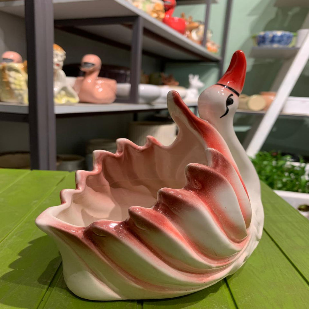 Swan Type