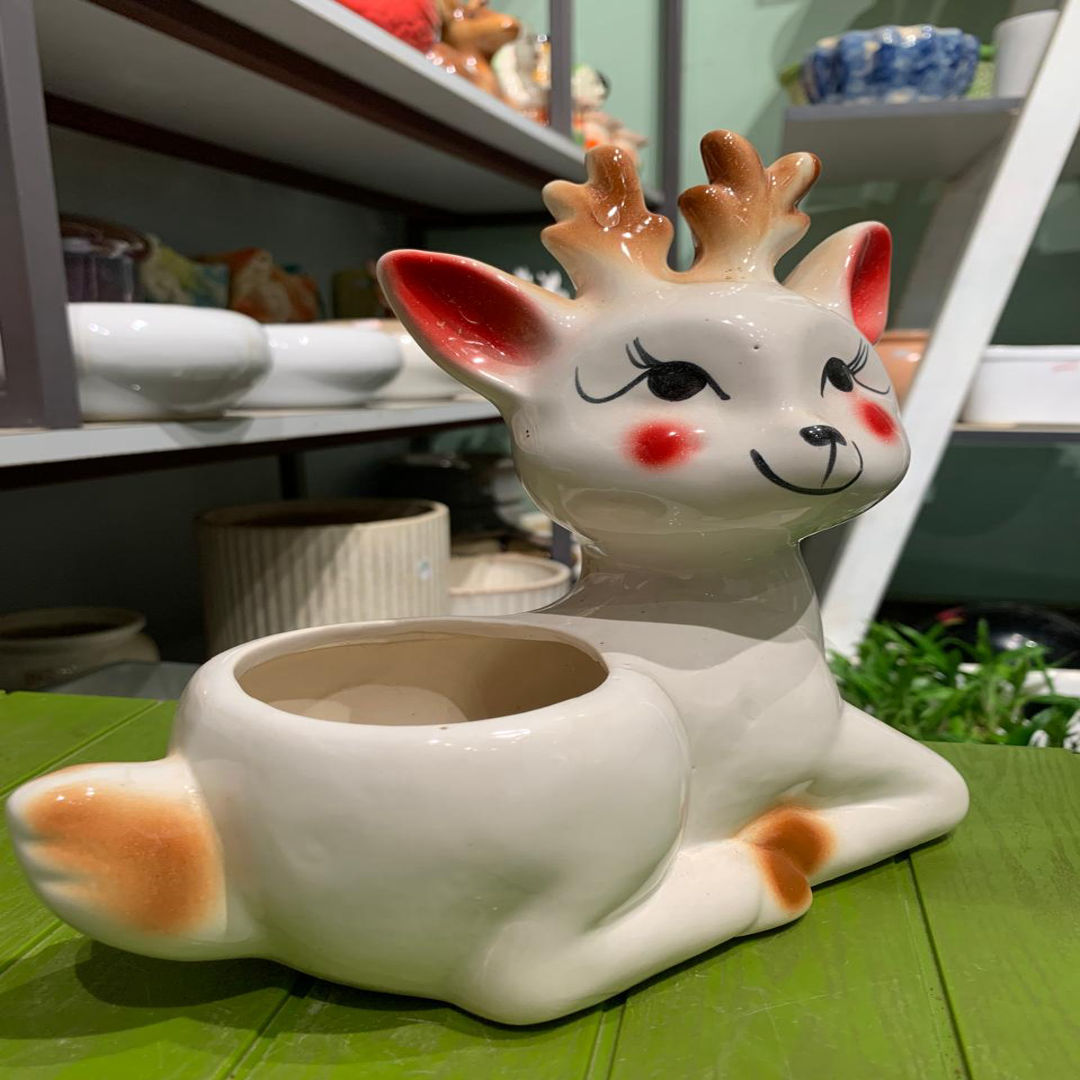 Deer Cub