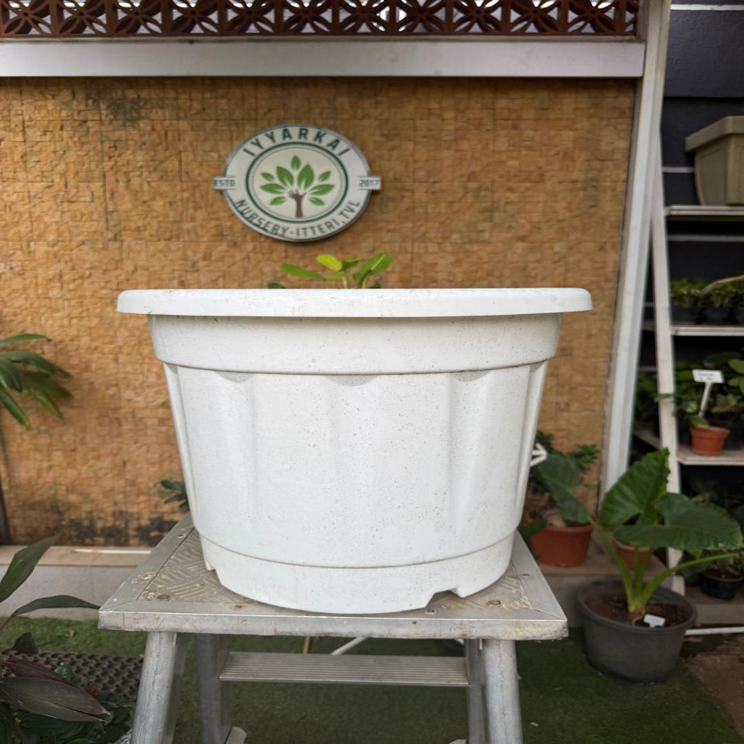 Plastic Pot (20")
