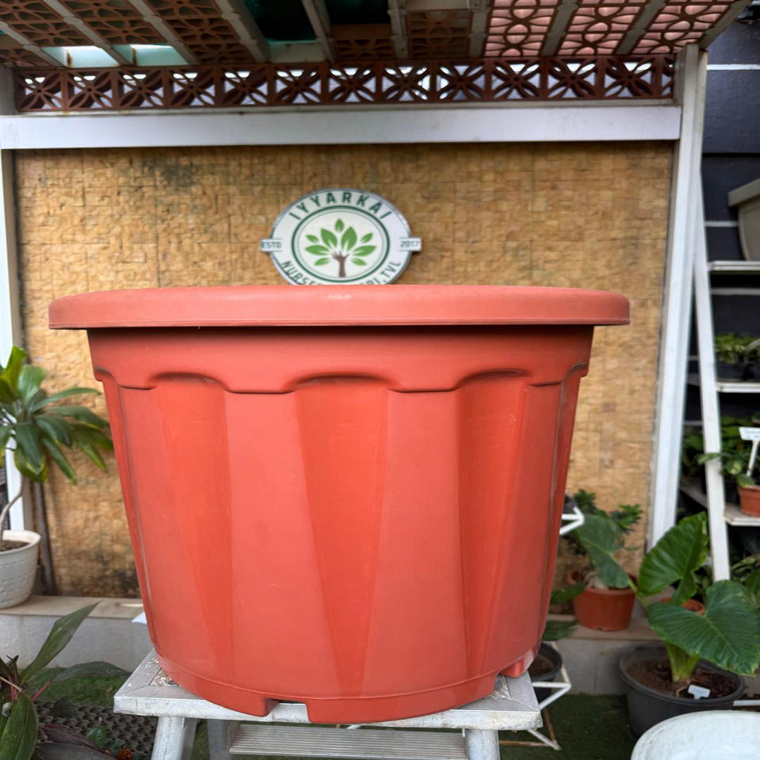 Plastic Pot (24")