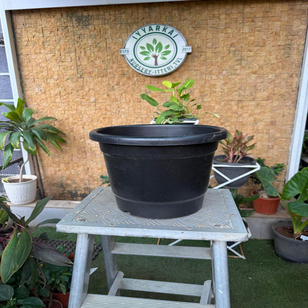 Plastic Pot (14")