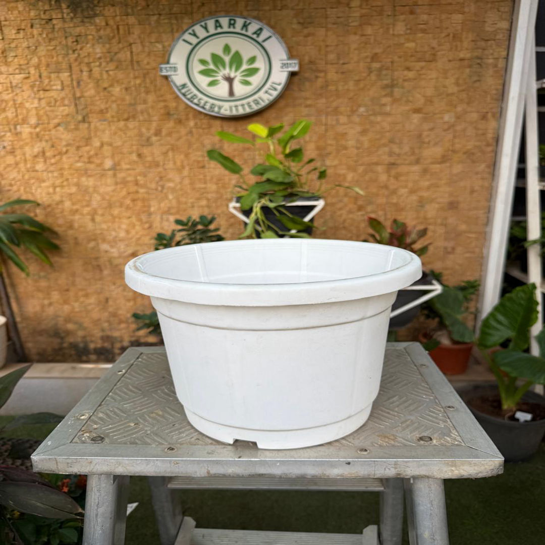 Plastic Pot (12")