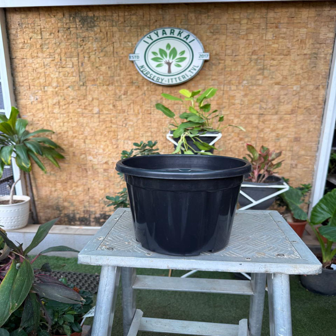 Plastic Pot (10")