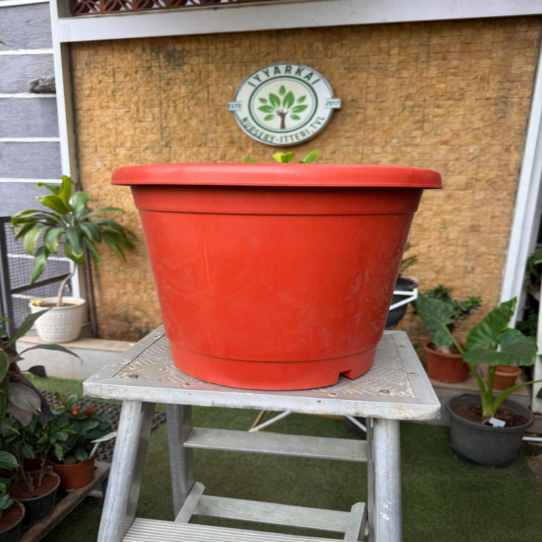 Plastic Pot (16")