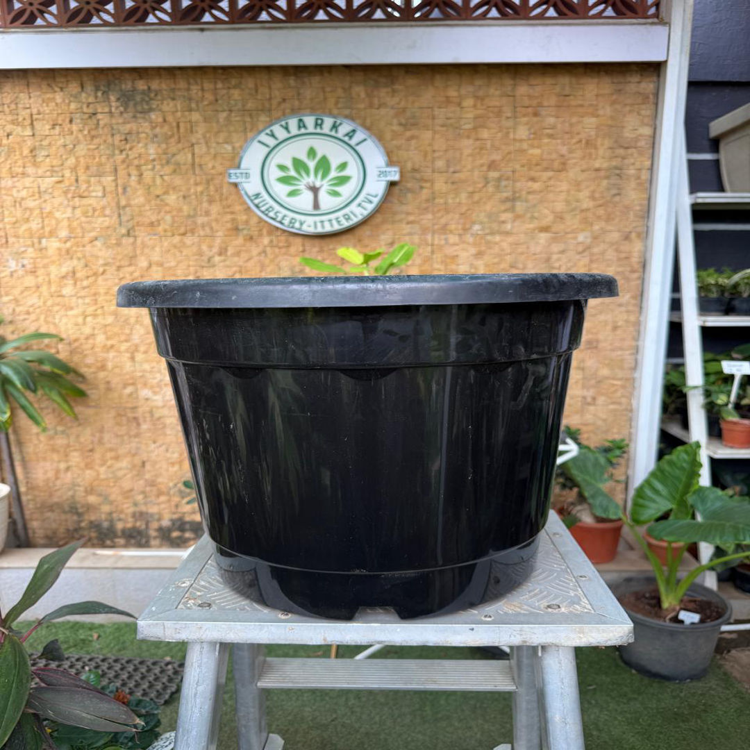 Plastic Pot (18")