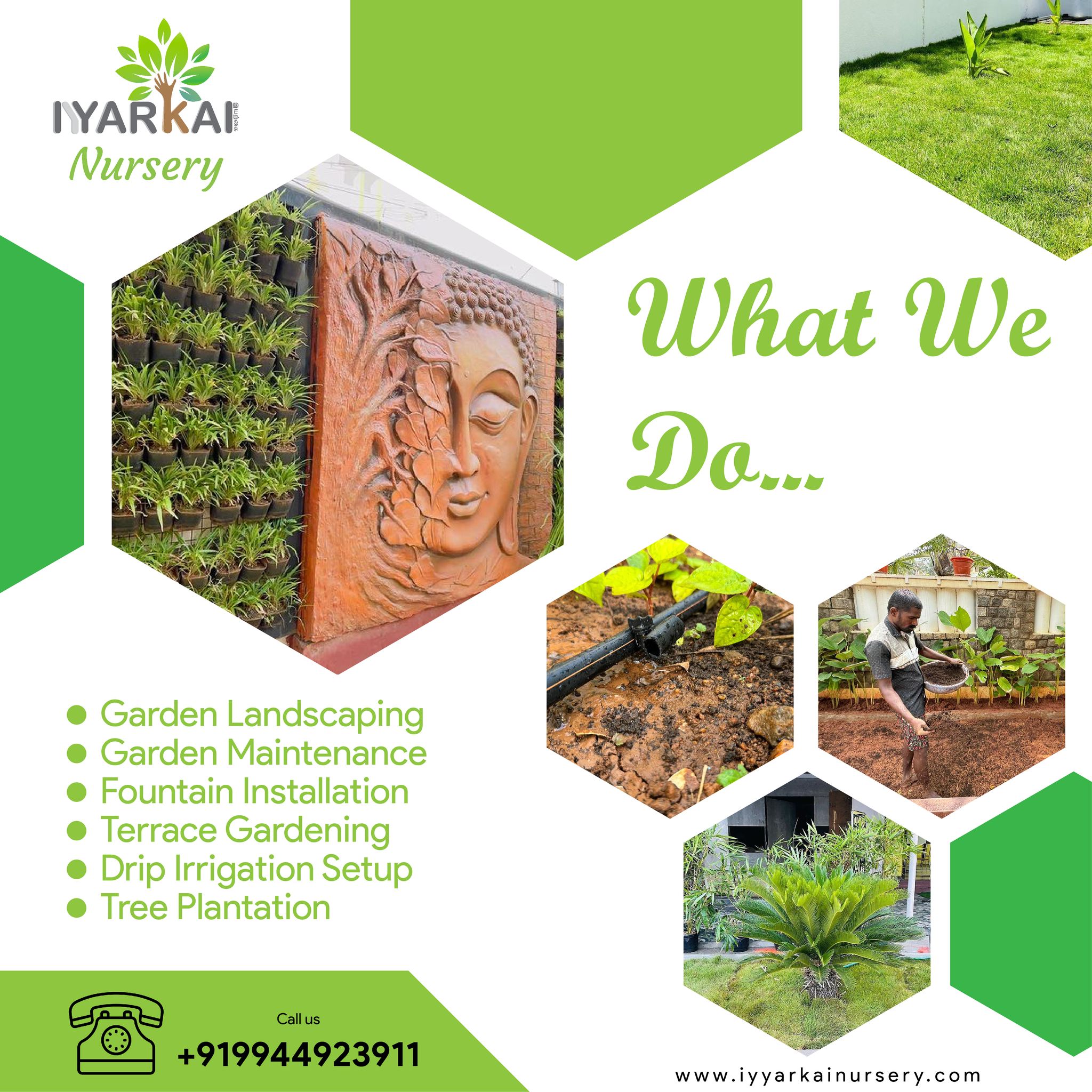 Our Work
